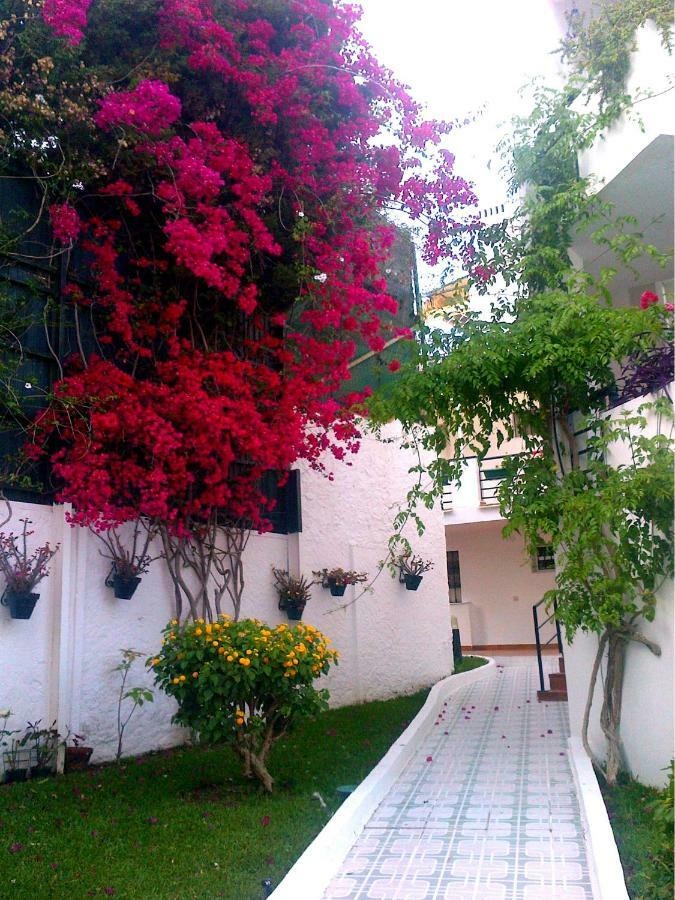 Apartamento Oasis توريمولينوس المظهر الخارجي الصورة