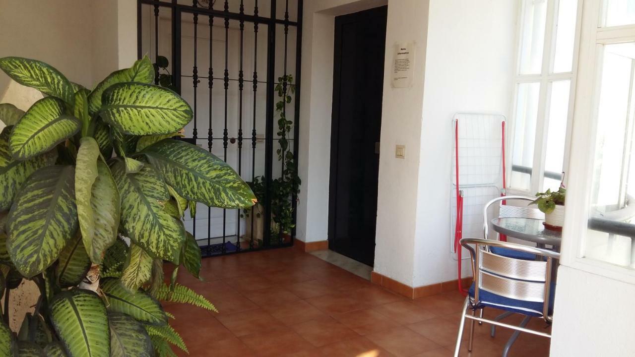Apartamento Oasis توريمولينوس المظهر الخارجي الصورة